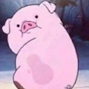 Meet your Posher, Kaley